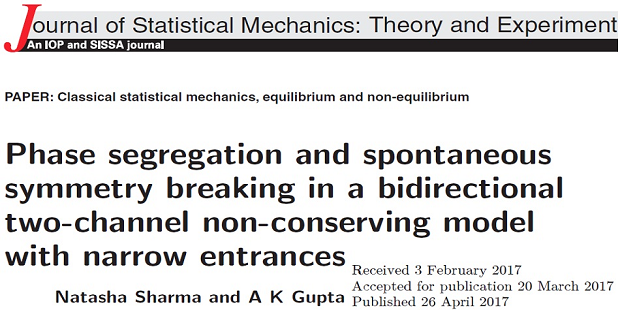 Phase segregation and spontaneous symmetry breaking in a bidirectional two-channel non-conserving model with narrow entrances.