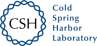 CSHL