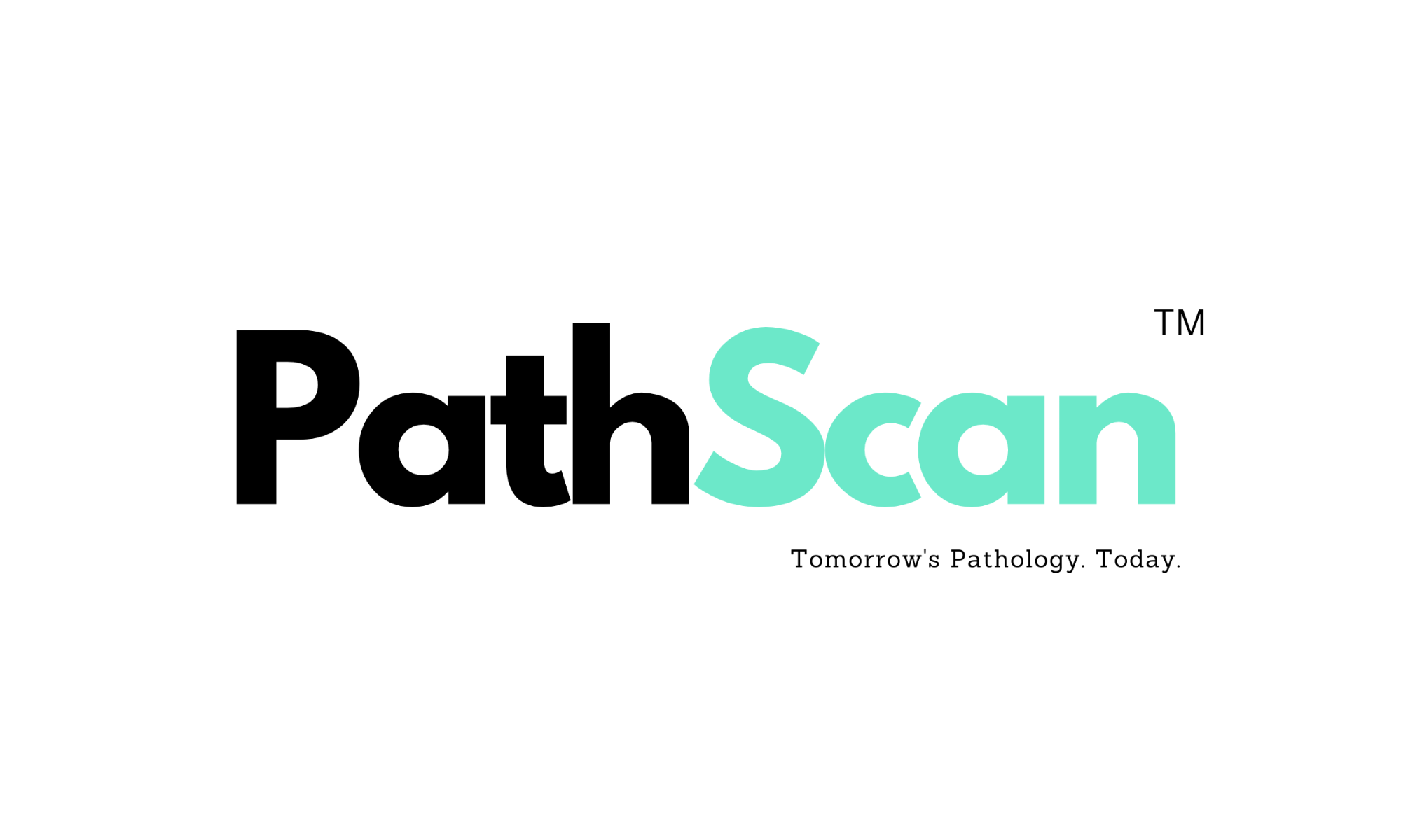 Path Scan Rule Training TBIF